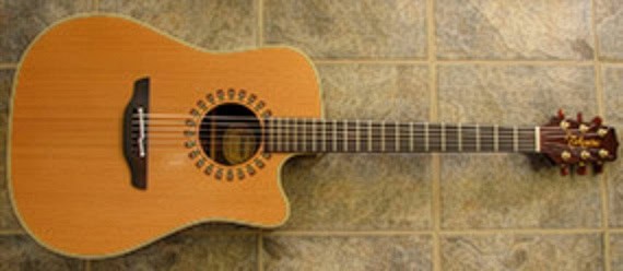 Takamine NP15C - aka the Road Warrior